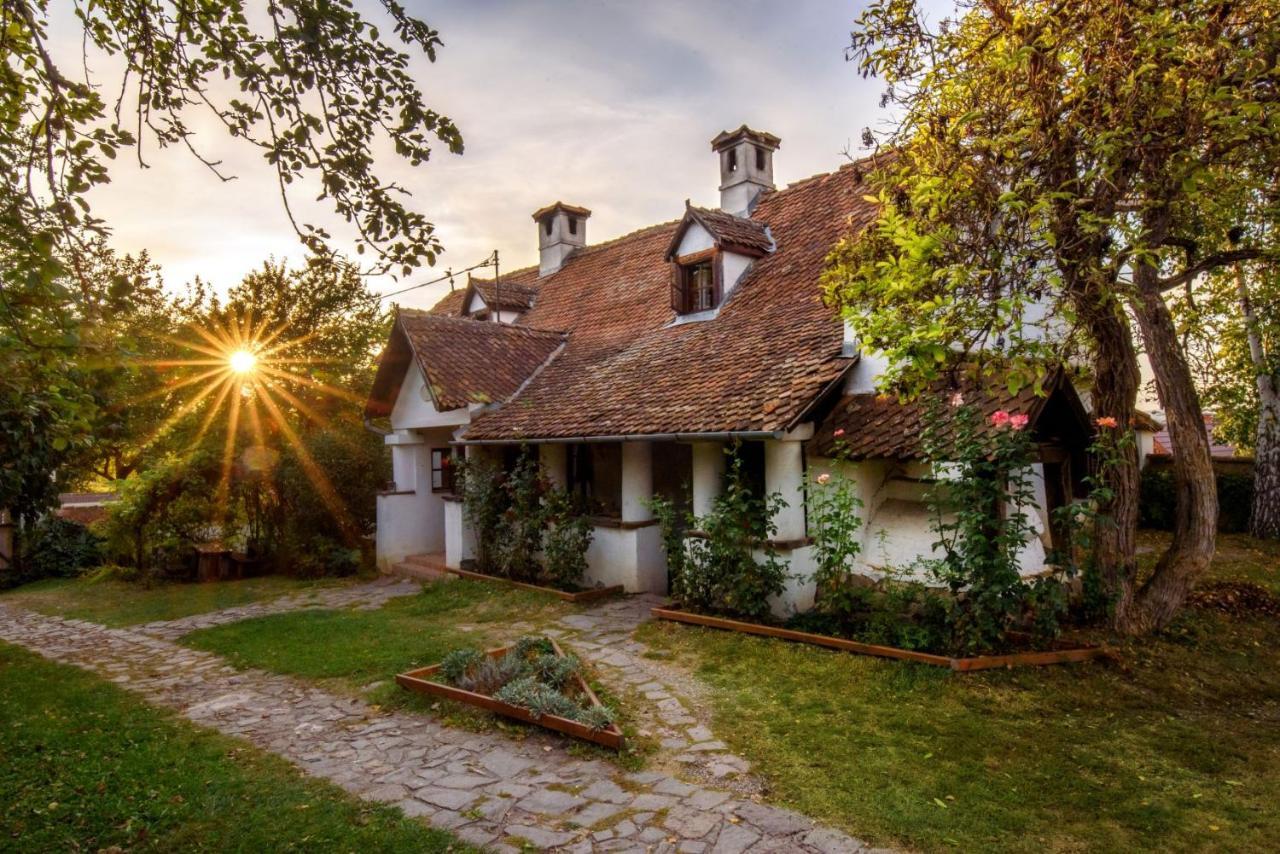 Count Kalnoky'S Transylvanian Guesthouses Miclosoara 外观 照片