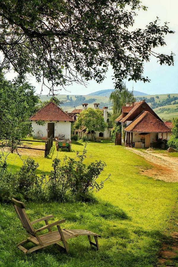 Count Kalnoky'S Transylvanian Guesthouses Miclosoara 外观 照片