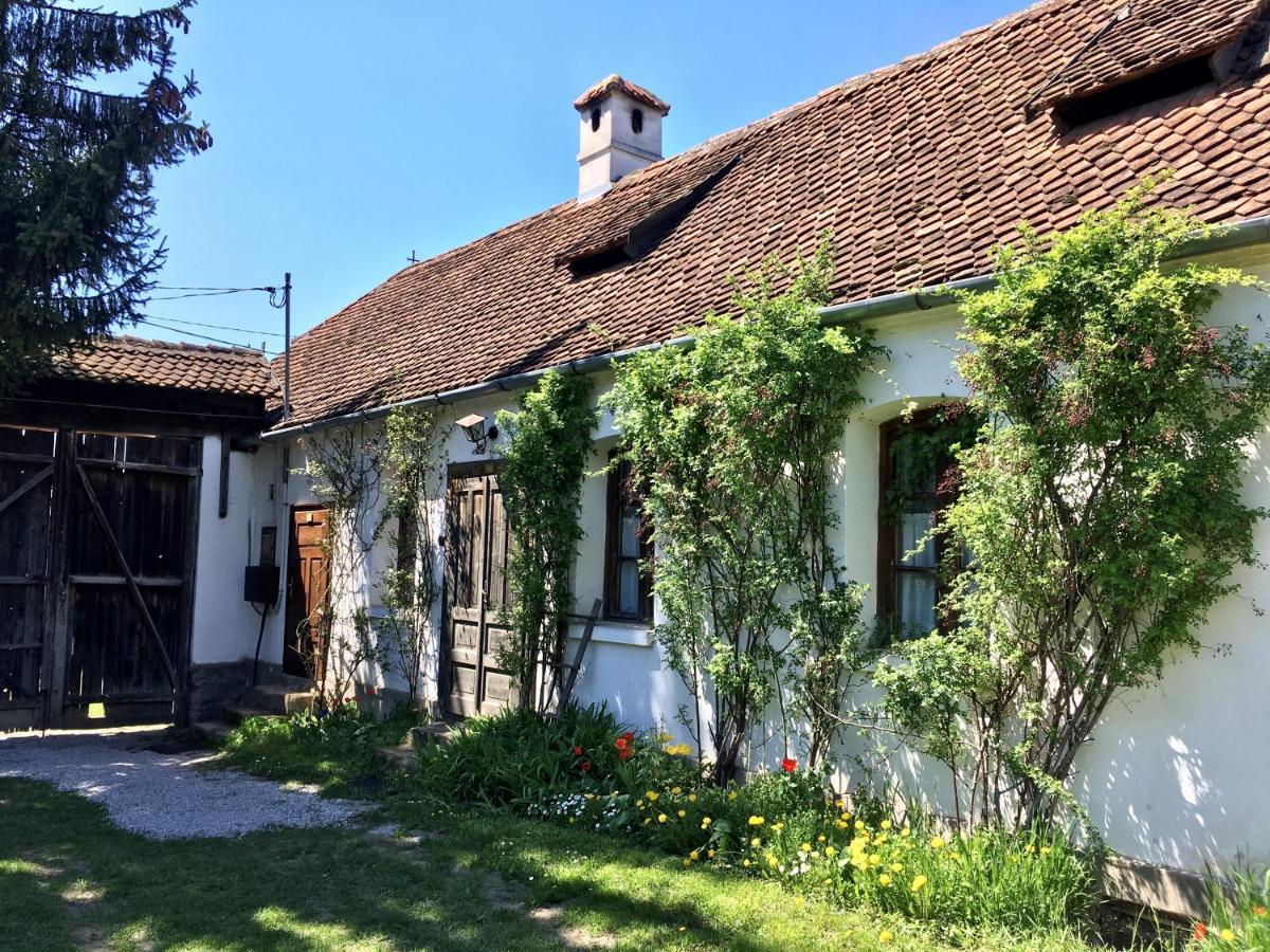 Count Kalnoky'S Transylvanian Guesthouses Miclosoara 外观 照片