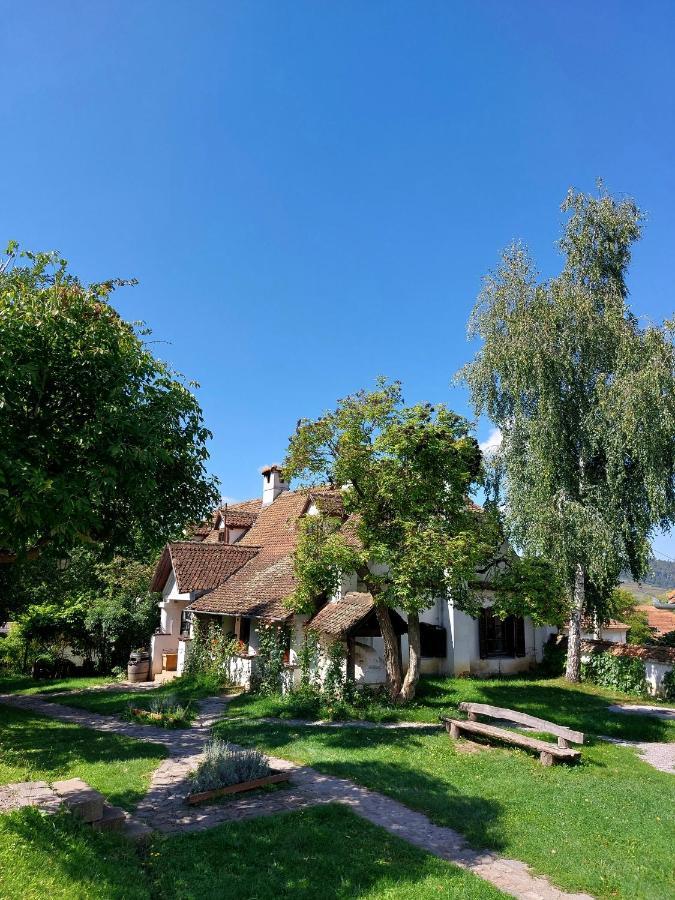 Count Kalnoky'S Transylvanian Guesthouses Miclosoara 外观 照片