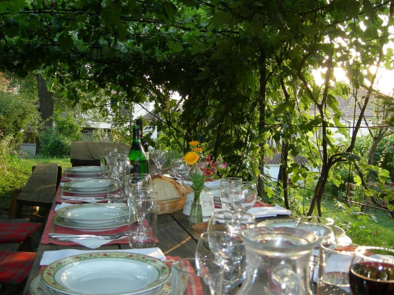 Count Kalnoky'S Transylvanian Guesthouses Miclosoara 外观 照片