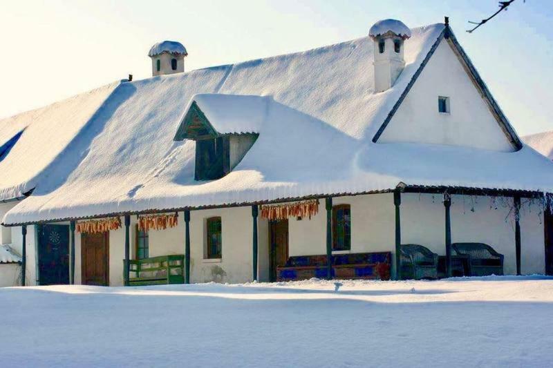 Count Kalnoky'S Transylvanian Guesthouses Miclosoara 外观 照片