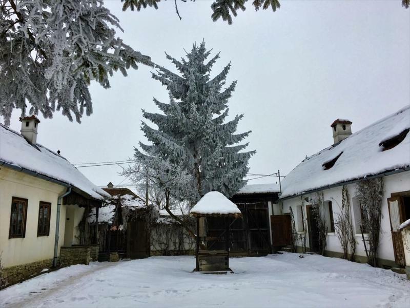 Count Kalnoky'S Transylvanian Guesthouses Miclosoara 外观 照片