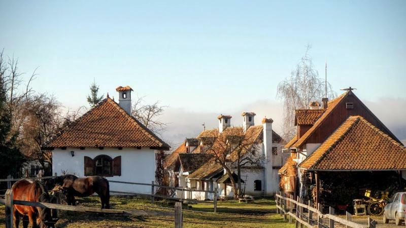 Count Kalnoky'S Transylvanian Guesthouses Miclosoara 外观 照片